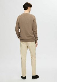 Pullover marrone a maglia con superficie texture, scollo rotondo e polsini a coste, abbinato a pantaloni beige chiaro e scarpe nere. Vista posteriore.