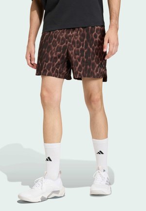 D4T POWER AOP  - Short de sport - earth strata   shadow brown   black