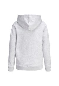 Ljusgrå huoodad sweatshirt med en mjuk textur, med långa ärmar och ribbad nederkant. Baksidan har ingen tryck eller dekorationer.