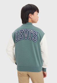 Felpa verde con maniche bianche, caratterizzata da una grande scritta "LEVI'S" ricamata in blu navy sul retro. Dettagli a coste sul colletto e sull'orlo.