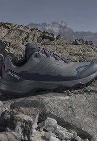 Σκούρο γκρι πεζοπορικό παπούτσι Adidas Terrex που ακουμπά πάνω σε τραχιές βραχώδεις βουνοκορφές με θολές χιονισμένες κορυφές στο βάθος κάτω από καθαρό ουρανό.