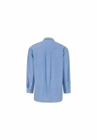 Camicia azzurro chiaro con righe bianche verticali, maniche lunghe, colletto e dettaglio a pieghe sul retro. Tessuto in cotone con una texture liscia.