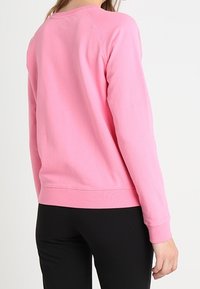 Felpa rosa in morbido tessuto, con collo rotondo, maniche lunghe e polsini e orlo a costine. Il design è semplice, senza fantasie.