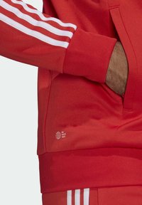 Red hoodie with white striped sleeves, ribbed cuffs, and a pocket. Features logo stating "End Plastic Waste" near the hem. Textured fabric.