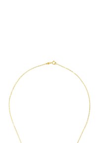 Guldkedja med en delikat, länkad design. Utrustad med en rund fjäderlås och en jämn, glänsande yta genomgående.