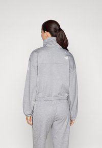 The North Face INTEREST 1/4 ZIP - Sweatshirt - pale grey heather/meld grey