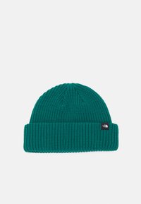 The North Face FISHERMAN BEANIE UNISEX - Megzta kepurė - evergreen