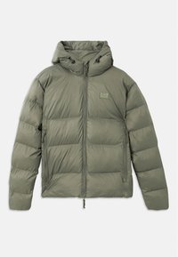 MOUNTAIN POLAR LOGO FREE STYLE - Χειμωνιάτικο μπουφάν - mulled basil