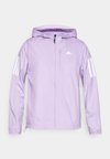 Větrovka - powder plum