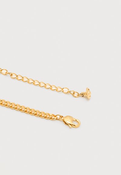 Κολιέ με αλυσίδα σε χρυσό τόνο, με κούμπωμα αστακό στο ένα άκρο και ρυθμιζόμενη αλυσίδα με θηλιά στο άλλο, πάνω σε λευκό φόντο.