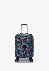 Unselected, spectral orchid