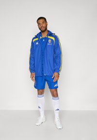 Blauwe sportjas met gele accenten, bijpassende korte broek, witte sokken met blauwe strepen en witte sportschoenen. Adidas-logo zichtbaar.