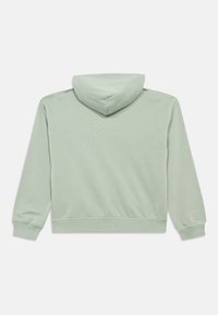 Sweatshirt com capuz de cor verde pálido, mangas longas, punhos canelados e cós canelado, mostrado de costas sobre um fundo branco.
