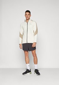 Puma EVOSTRIPE WARM FULL ZIP HOODIE - Felpa con zip - alpine snow