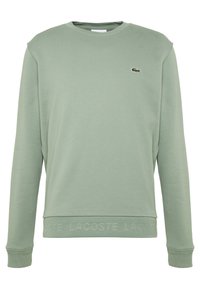 Felpa verde chiaro realizzata in materiale morbido, con colletto rotondo, maniche lunghe, polsini a coste e un logo ricamato sul petto.