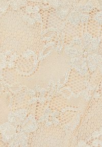 Beige spets tyg med intrikata blommönster, med en mjuk, strukturerad väv och en subtil lyster genom hela.