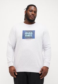 Hellgrauer Sweatshirt aus Baumwollmischung. Mit einem blauen Grafikdesign mit dem Text "JACK & JONES" und horizontalen Linien. Mit gerippten Bündchen und Saum.