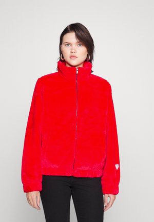 GO BETTY BOOP JACKET - Winter jacket - rapid red