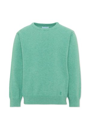 Pull vert uni à manches longues avec col rond, poignets et ourlet côtelés.