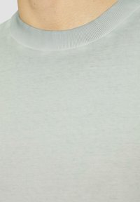 Lichtgrijs crewneck t-shirt van een gemêleerde katoenstof. Bevat een ribbelkraag en een soepele, naadloze body. Zachte afwerking.