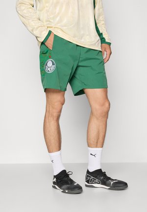 KIDSUPER PALMEIRAS TRAVEL SHORT - Club wear - vine/alpine snow
