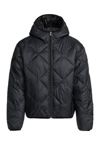 WIND SWEPT  LEICHTE WATTIERTE - Winter jacket - mottled black