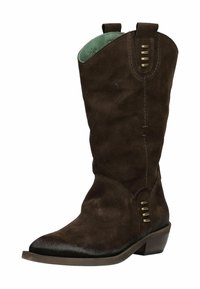 Bruine suède cowboylaars met een spitse neus en een lage hak. Heeft metalen accenten en een contrasterende groene binnenvoering.