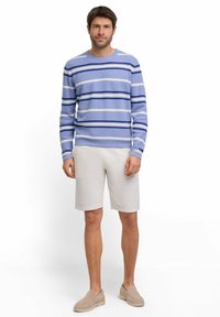 Maglione blu a righe con maniche lunghe, abbinato a pantaloni corti chiari e texturizzati e scarpe slip-on chiare. Design semplice con colori a contrasto.
