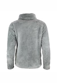Peak Mountain ASANA - Veste polaire - gris