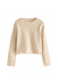 Pull crème à manches longues avec un petit motif floral rose et un ourlet en dentelle. Fabriqué en tissu tricoté doux, avec un col rond et des manches ajustées.