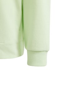 Sudadera verde claro con una textura suave, que cuenta con puños acanalados y un corte holgado. El diseño incluye un bolsillo en la parte frontal.