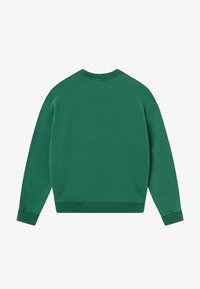 Grüner Pullover, Rundhalsausschnitt, lange Ärmel, weicher Stoff, gerippte Bündchen und Saum, schlichtes Design, keine Grafiken oder zusätzlichen Details.