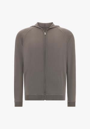 Eesluku taskuga pehme, tekstuuriga hall kapuutsiga sviiter. Omab kapuutsi, raglan-varrukaid ja kahte esi-taskut koos ribitud varrukaotste ja hemiga.