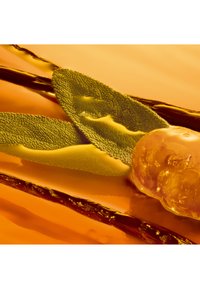 Et stykke rav med en glat tekstur, omgivet af grønne salvieblade og mørke træstykker, sat mod en orange baggrund.