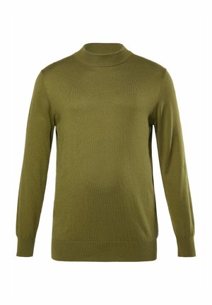 Oliven grøn langærmet sweater med høj hals, lavet af strikket stof. Har ribbede mansjetter og kant. Glat tekstur med en tætsiddende pasform.