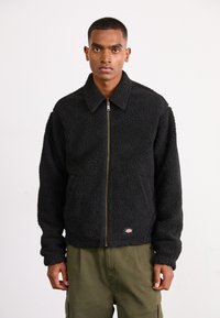 Dickies EISENHOWER - Giacca in pile - black
