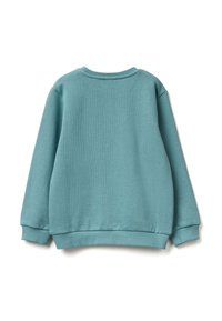 Sudadera turquesa con puños y dobladillo acanalados. La parte posterior tiene una textura suave y un escote redondeado. Diseño simple sin detalles adicionales.