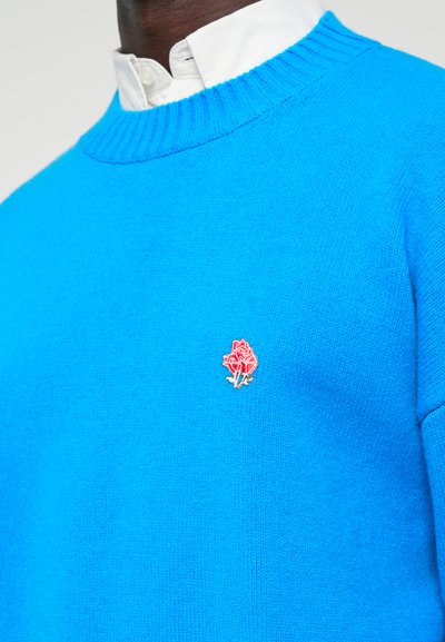 Helles blaues Strickpullover mit einem gerippten Rundhalsausschnitt und einem kleinen roten Rosenstickdetail auf der Brust. Weicher Textil und lässiges Design.