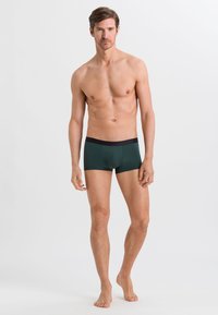 Hanro MICRO TOUCH - Calzoncillos - fir forest