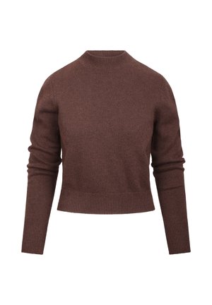 Brun strikkegenser med rund hals, lange ermer og ribbestrikkede mansjetter. Designet er kort, med en jevn tekstur, egnet for lagdeling.