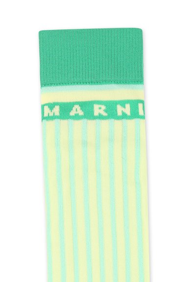 Calze al ginocchio con un risvolto verde menta, caratterizzate da un corpo giallo chiaro con strisce verticali alternate e il nome del marchio "MARNI" in verde a contrasto.