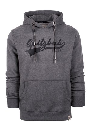 Grijze hoodie van een katoenmix, met een voorzak, zwart scriptlogo, trekkoorden met gemusterde tips en ribgebreide manchetten.
