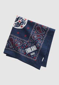 Неизбран, red/white/blue