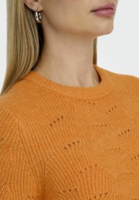 ONLY ONLLOLLI NOOS - Jumper - Russet Orange