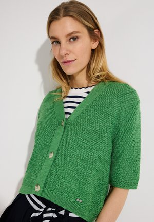 Frau trägt eine strukturierte grüne Kurzarmstrickjacke über einem schwarz-weiß gestreiften Oberteil und posiert vor einem einfarbigen weißen Hintergrund.