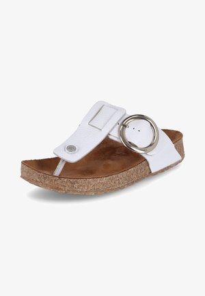 Haflinger, CORINNA - Mules - weiss