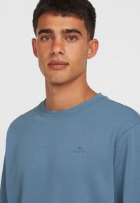 Blå crewneck sweatshirt lavet af blødt stof. Har ribbede manchetter og krave, med et subtilt logo broderet på brystet.