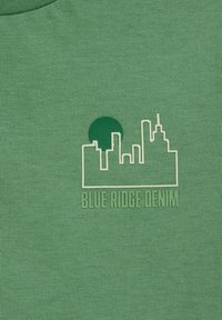 Žalios medvilnės audinys turi minimalistinę sutartinės linijos grafiką kreminės spalvos su apvaliu akcentu. Apatinėje dalyje yra užrašas "BLUE RIDGE DENIM."