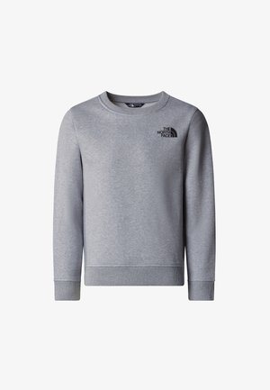 TEEN REGULAR CREW  - Sportinis megztinis - tnf light grey heather
