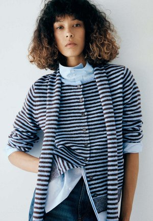 Personne aux cheveux bouclés portant un pull boutonné rayé bleu par-dessus une chemise bleu clair à manches retroussées sur un fond uni.